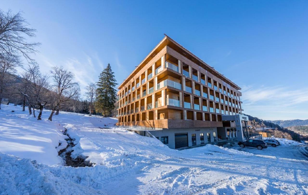 The Valley Bakuriani Belle Epoque Apartment 外观 照片